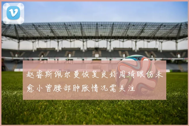 赵睿斯佩尔曼恢复良好周琦眼伤未愈小曾腰部肿胀情况需关注