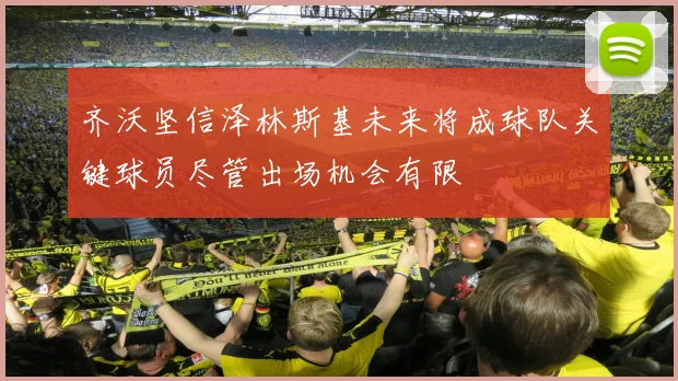 齐沃坚信泽林斯基未来将成球队关键球员尽管出场机会有限