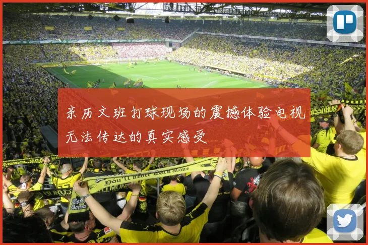 亲历文班打球现场的震撼体验电视无法传达的真实感受